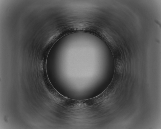 X0000097590543200803071323