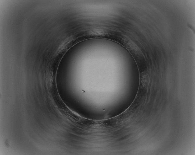 X0000097590544200803071323