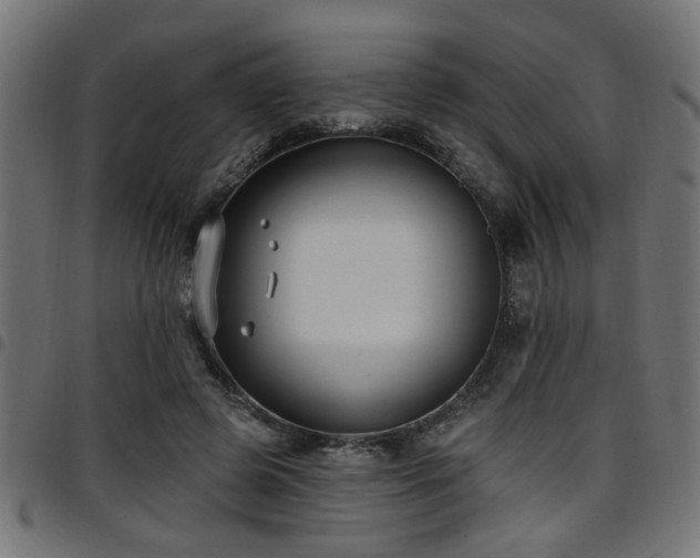 X0000097590545200803071323