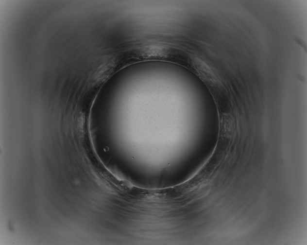 X0000097590550200803071323