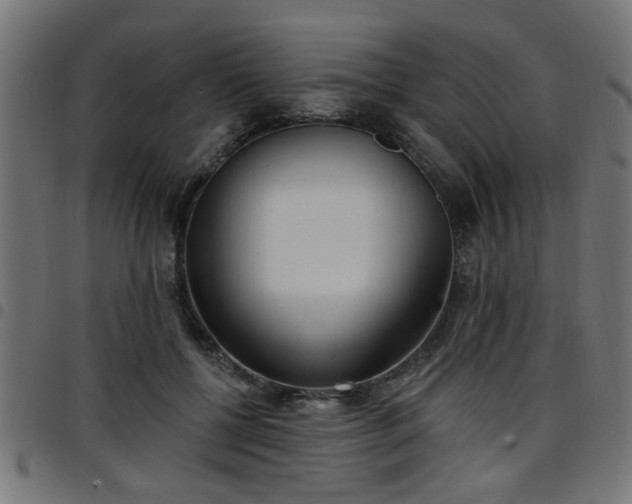 X0000097590552200803071323