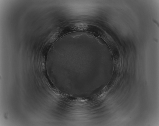 X0000097590553200803071323