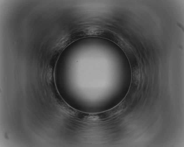 X0000097590554200803071323