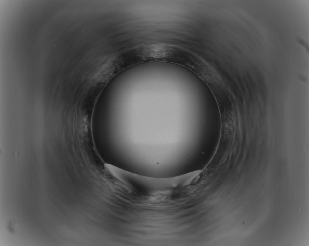 X0000097590555200803071323