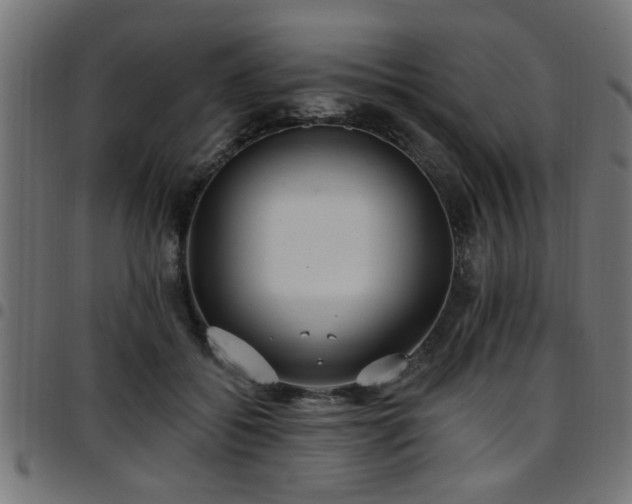 X0000097590556200803071323