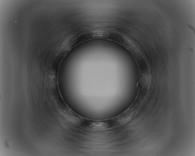 X0000097590557200803071323