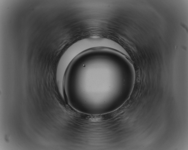 X0000097590560200803071323