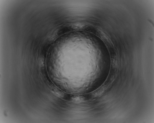 X0000097590561200803071323