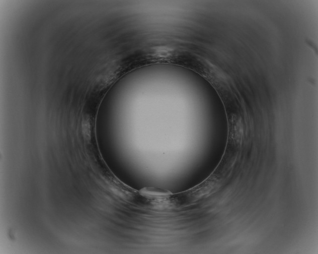 X0000097590562200803071323