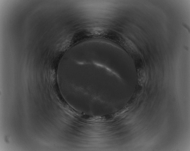 X0000097590563200803071323