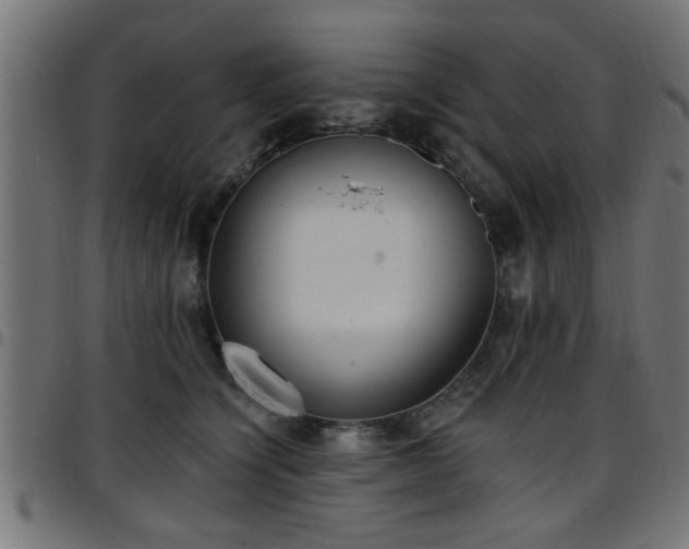 X0000097590564200803071323