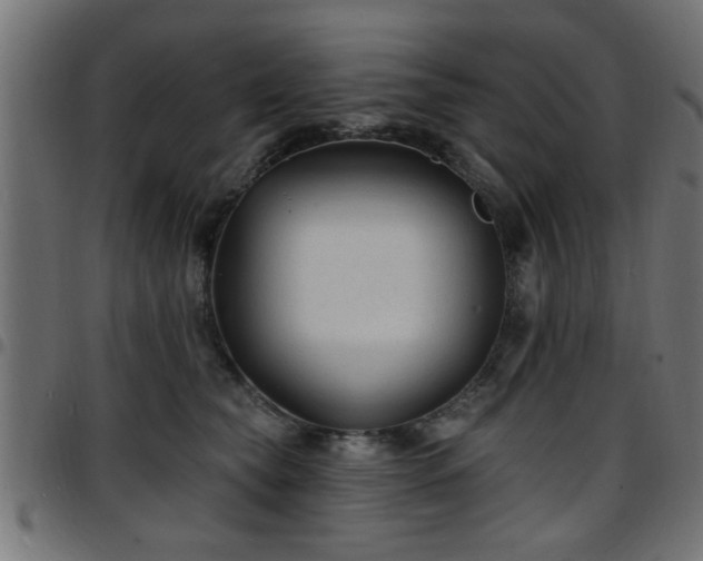 X0000097590565200803071323