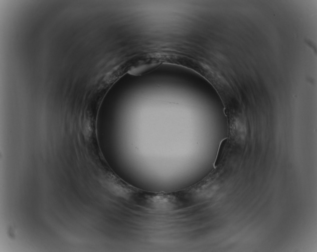 X0000097590566200803071323