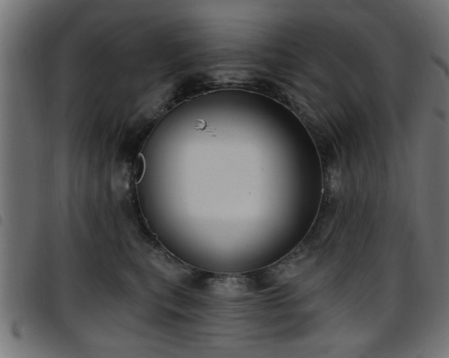 X0000097590567200803071323