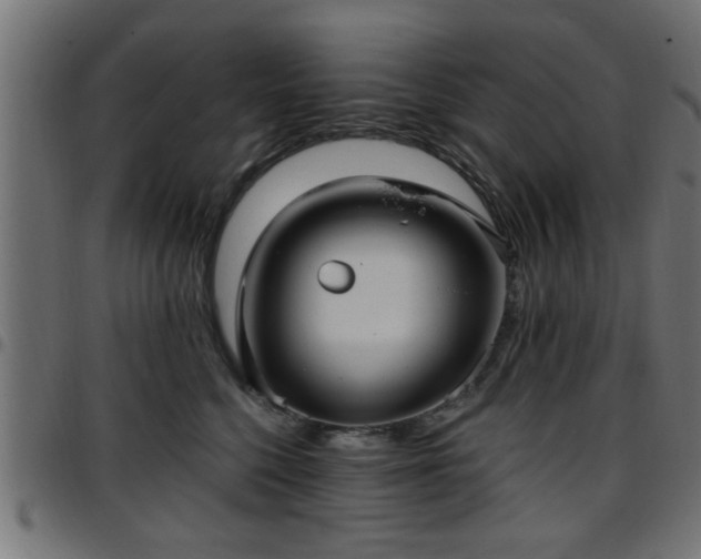 X0000097590568200803071323