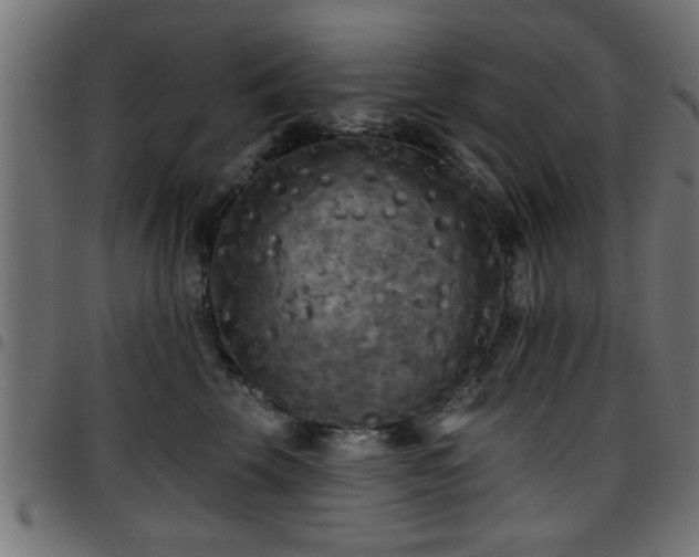 X0000097590569200803071323