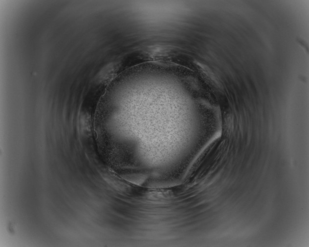 X0000097590571200803071323