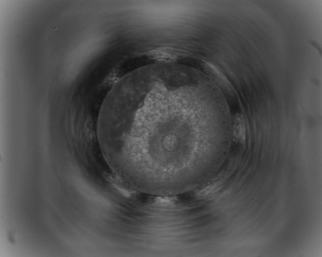 X0000097590573200803071323