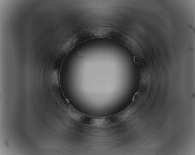 X0000097590575200803071323