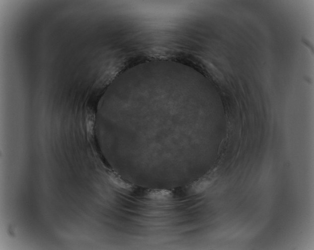 X0000097590576200803071323