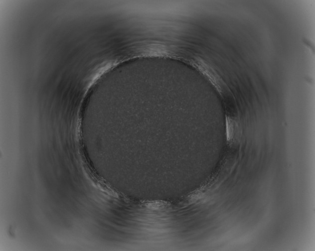 X0000097590579200803071323