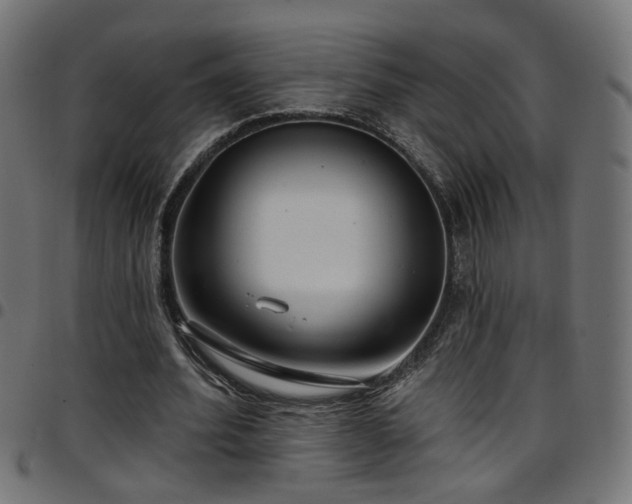 X0000097590580200803071323