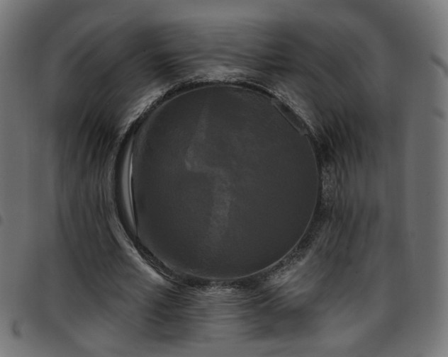 X0000097590581200803071323