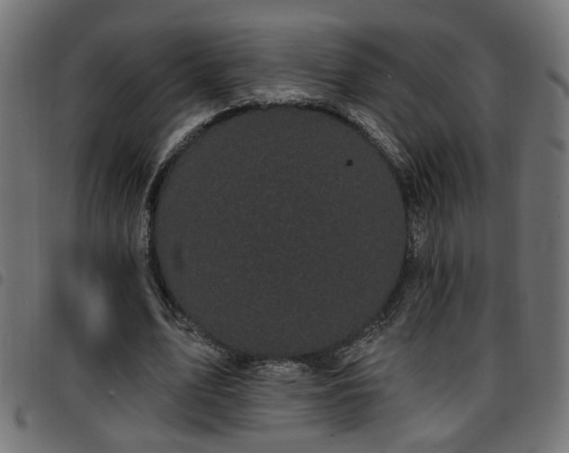 X0000097590583200803071323