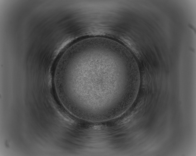 X0000097590584200803071323