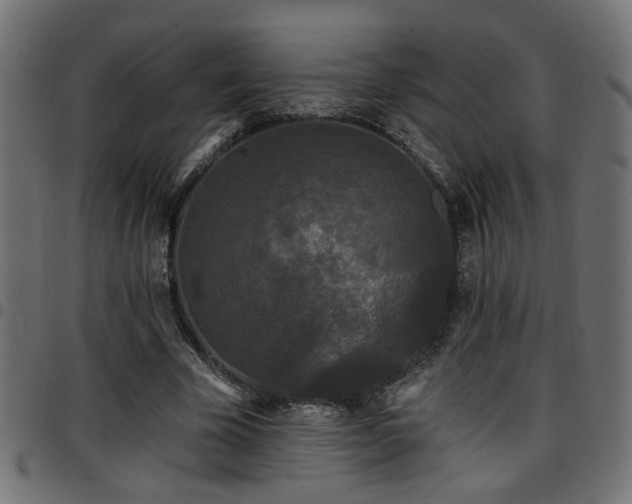 X0000097590585200803071323