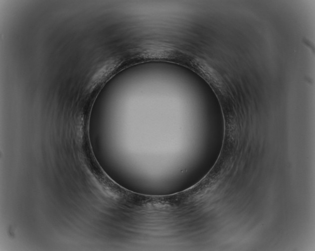 X0000097590586200803071323