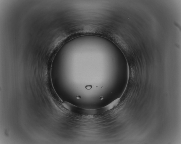 X0000097590588200803071323