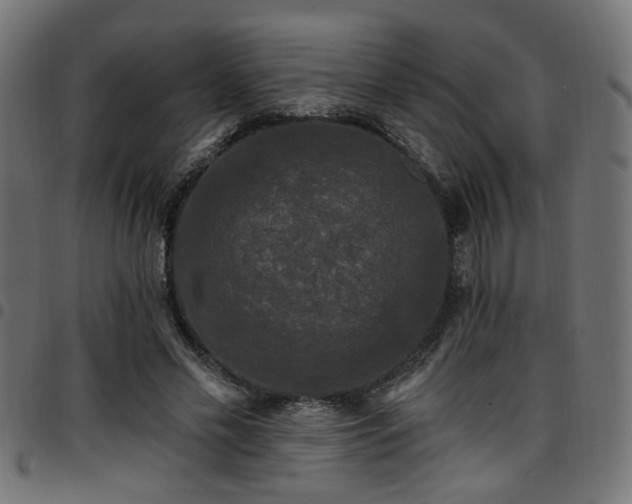 X0000097590589200803071323