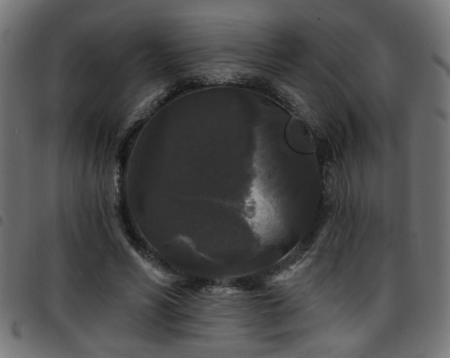 X0000097590590200803071322