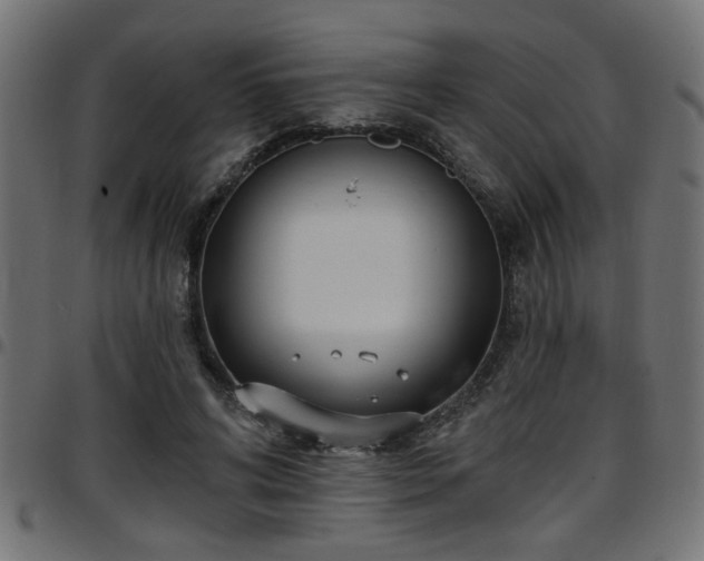 X0000097590592200803071322