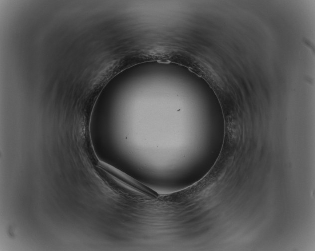 X0000097590593200803071322