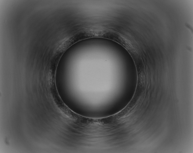 X0000097590594200803071322