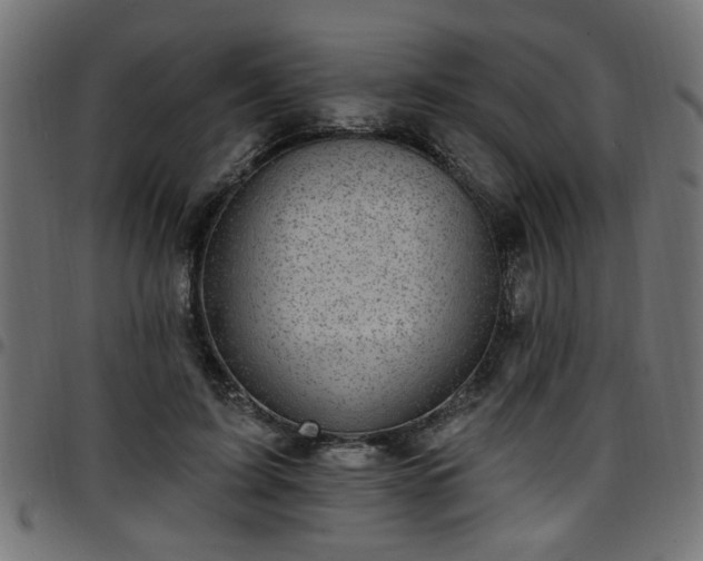 X0000097590595200803071322