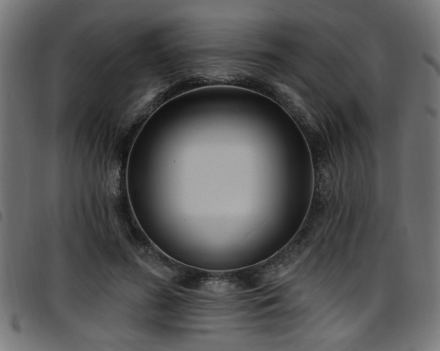 X0000097590596200803071322