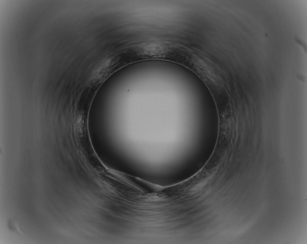 X0000097590597200803071322