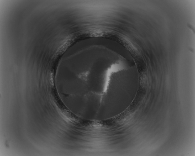 X0000097590598200803071322