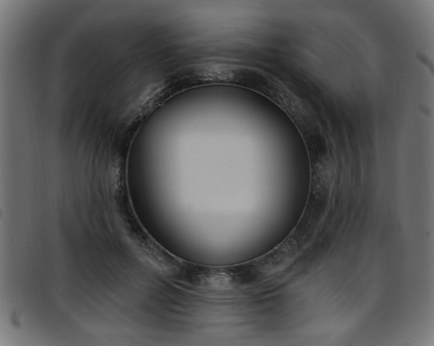 X0000097590600200803071322