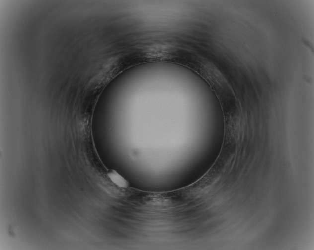 X0000097590601200803071322