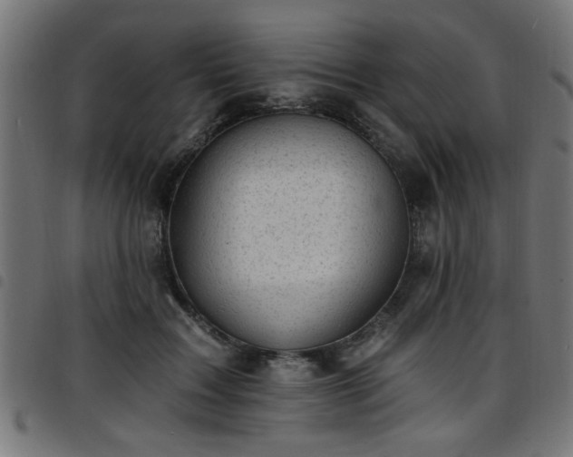 X0000097590603200803071322