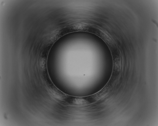 X0000097590605200803071322