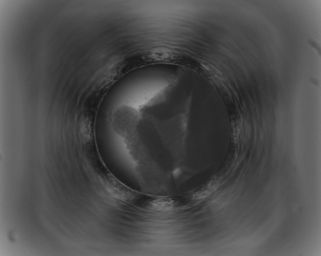 X0000097590606200803071322