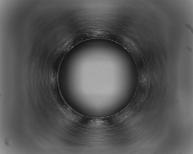 X0000097590607200803071322