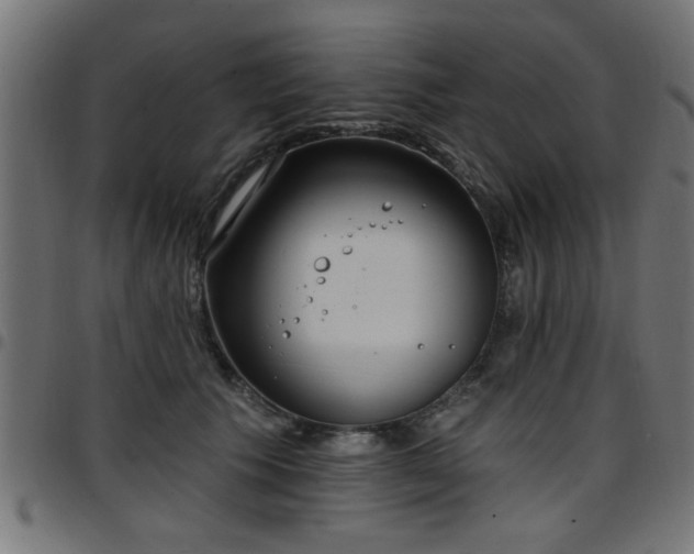 X0000097590609200803071322