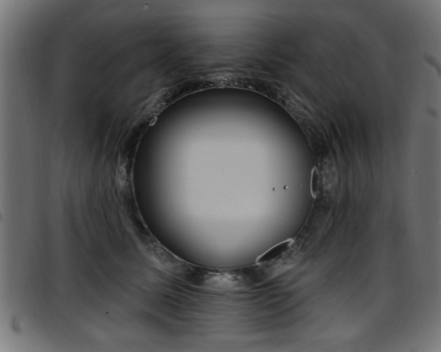 X0000097590611200803071322