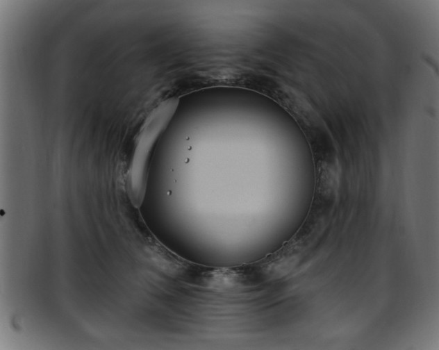 X0000097590612200803071322